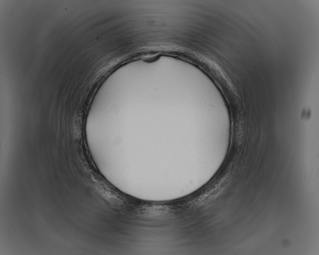 X0000096990833200803071051