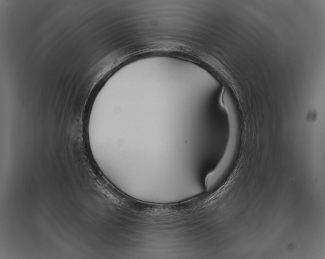 X0000096990834200803071051