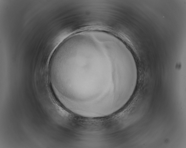 X0000096990836200803071051