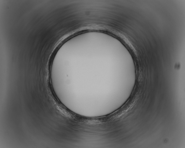 X0000096990837200803071051