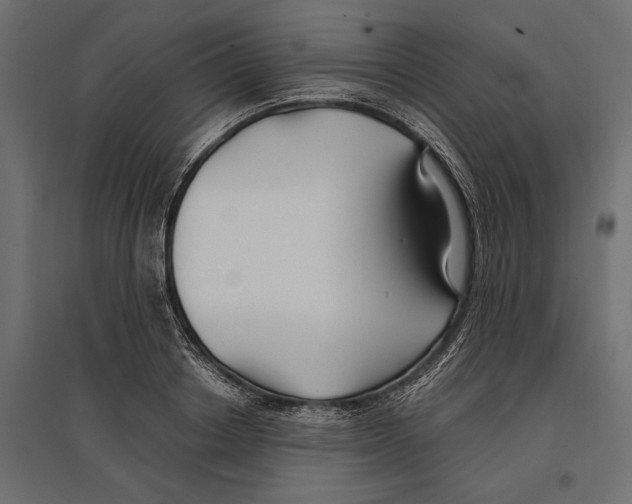 X0000096990842200803071051