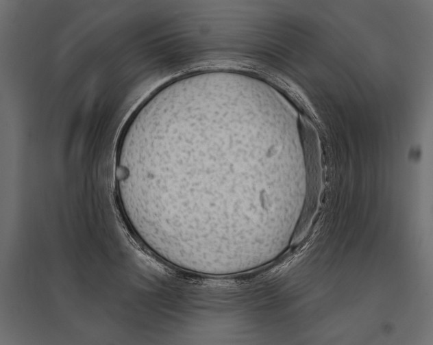 X0000096990844200803071051