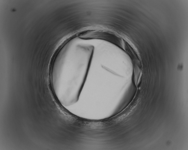 X0000096990845200803071052