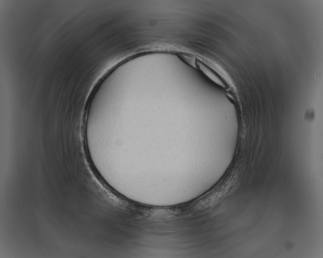 X0000096990847200803071052