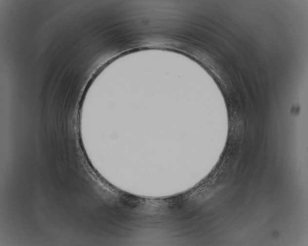 X0000096990848200803071052