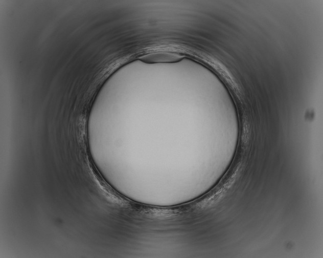 X0000096990849200803071052