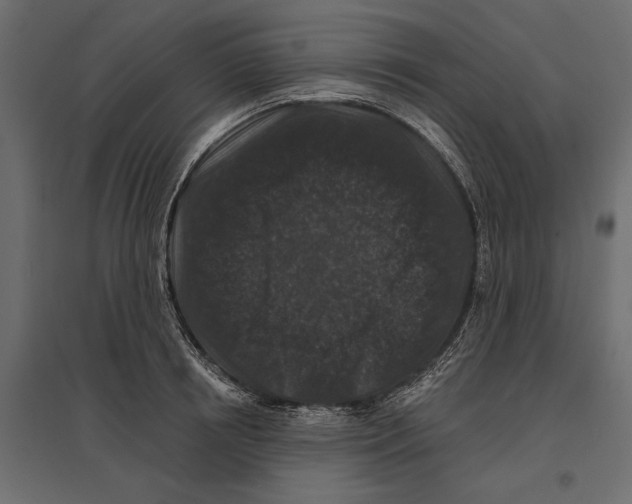 X0000096990850200803071052