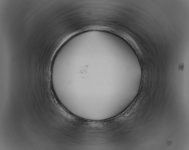 X0000096990852200803071052