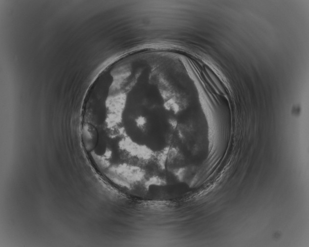 X0000096990853200803071052