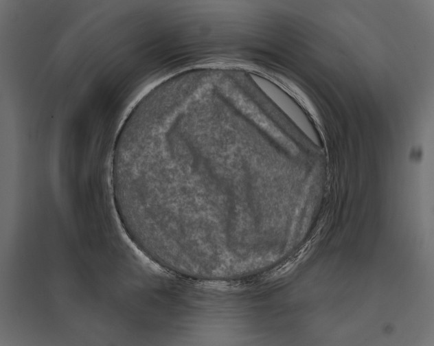 X0000096990855200803071052