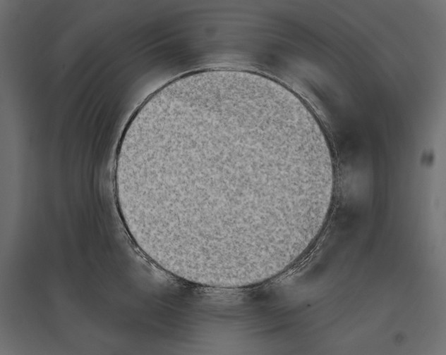 X0000096990856200803071052