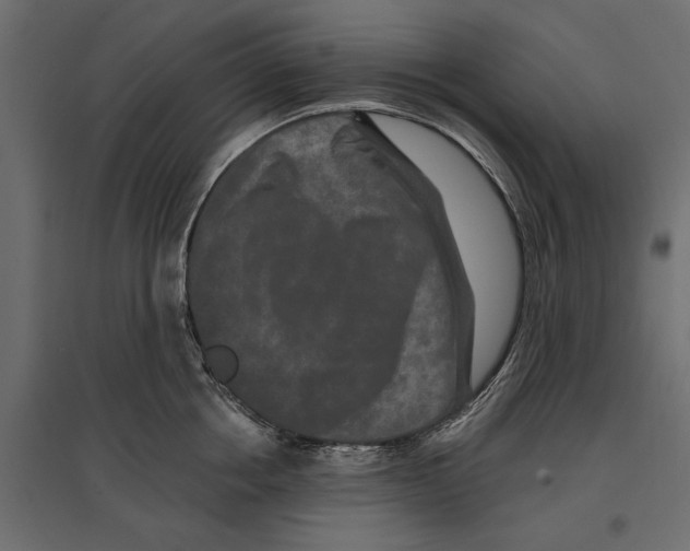 X0000096990858200803071052