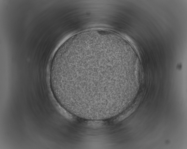 X0000096990859200803071052