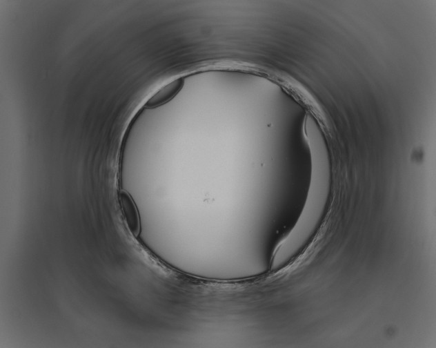 X0000096990860200803071052