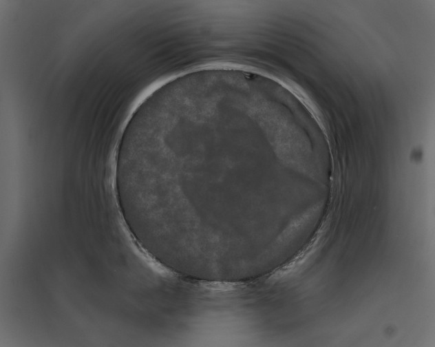 X0000096990862200803071052