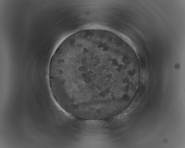 X0000096990863200803071052