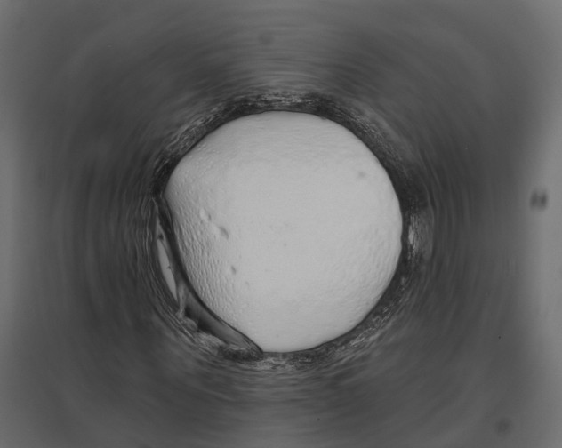 X0000096990867200803071051