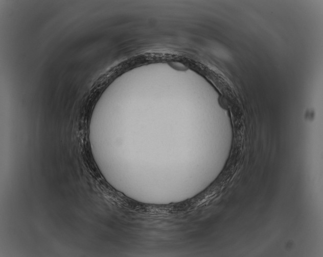 X0000096990870200803071051