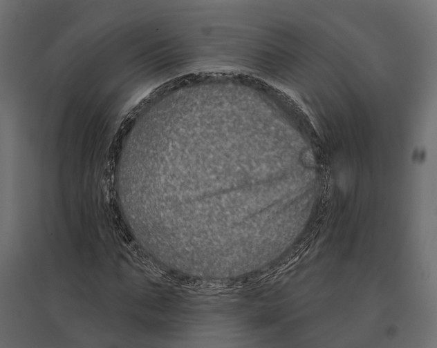 X0000096990871200803071051