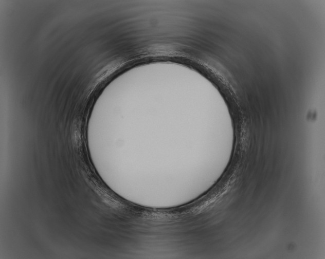 X0000096990873200803071051