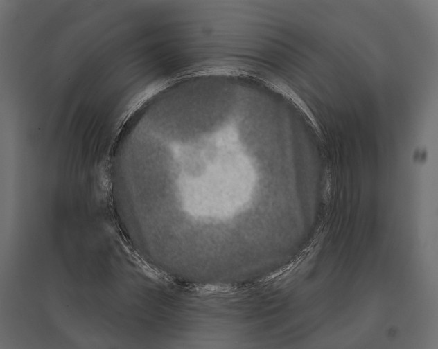 X0000096990874200803071051