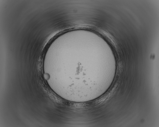 X0000096990875200803071051