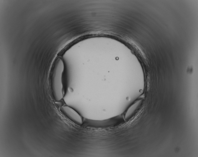 X0000096990876200803071051