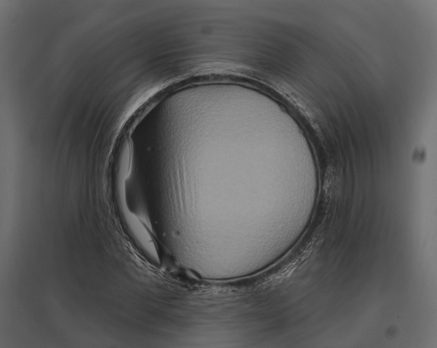 X0000096990877200803071051