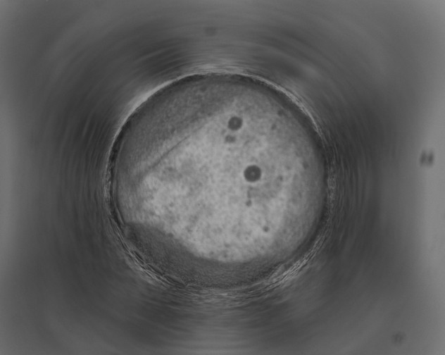 X0000096990879200803071051