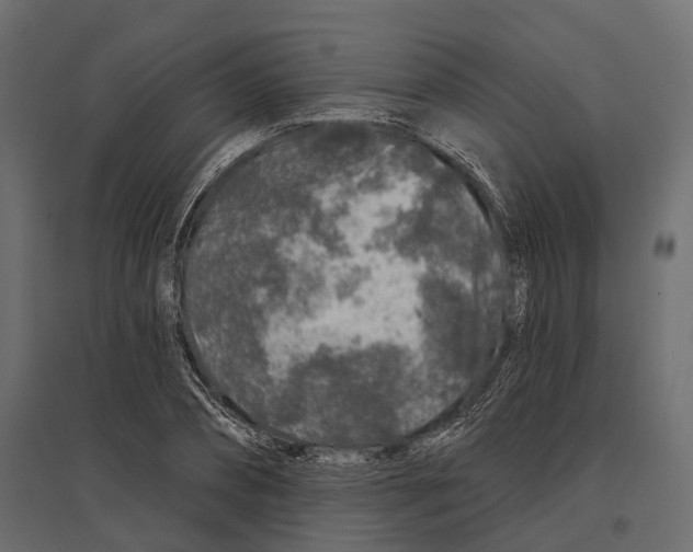 X0000096990882200803071051