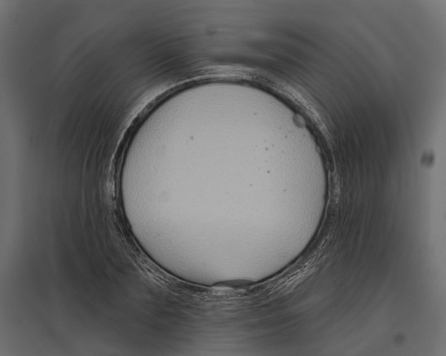 X0000096990883200803071051