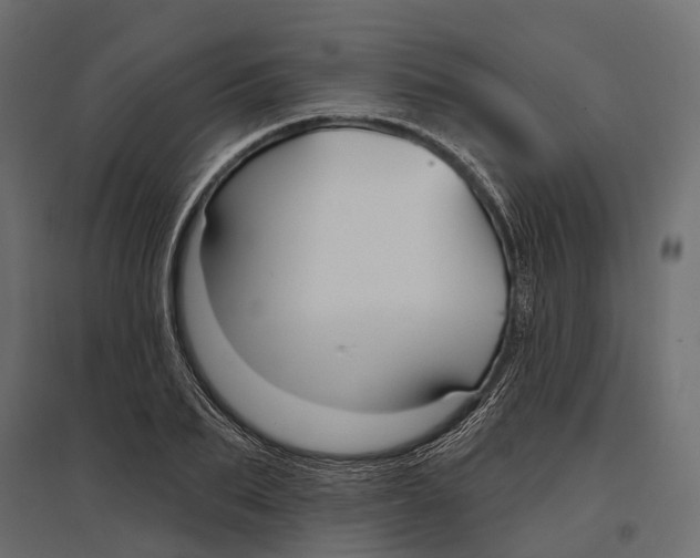 X0000096990887200803071051