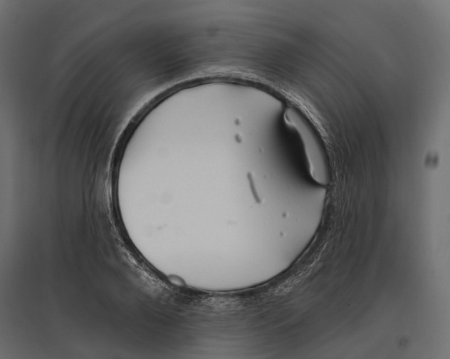 X0000096990888200803071051