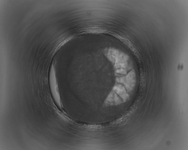 X0000096990889200803071051