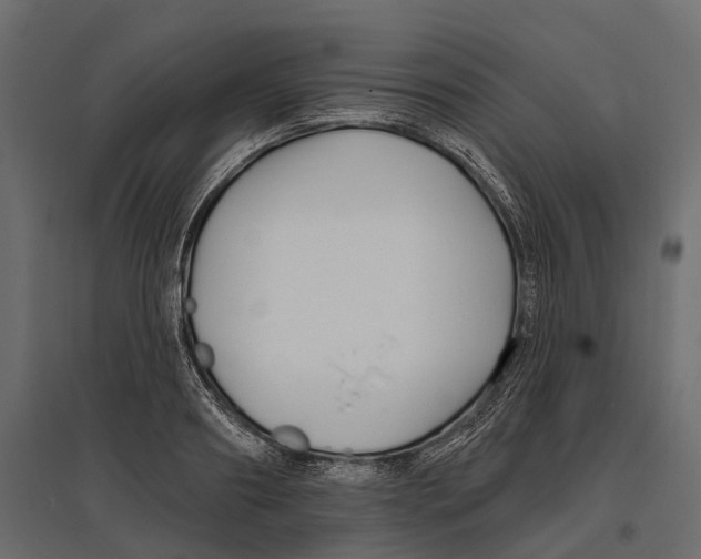 X0000096990890200803071051