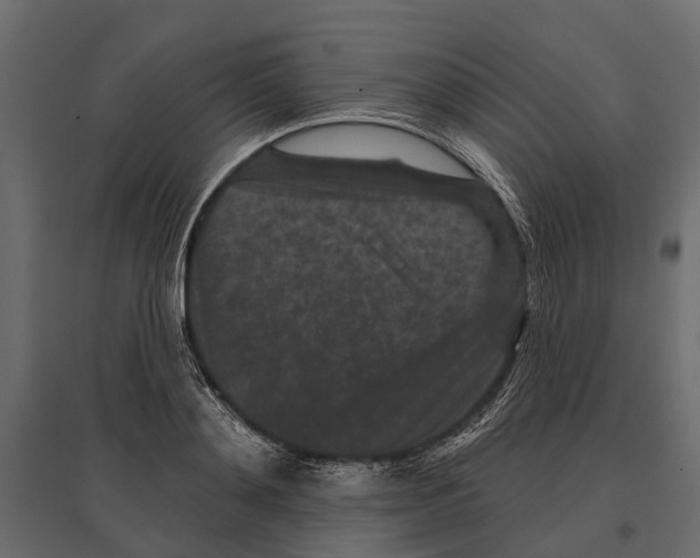 X0000096990892200803071051