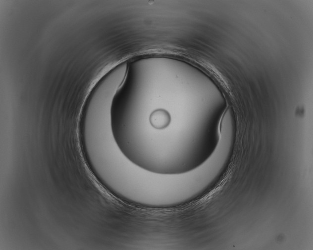 X0000096990893200803071051