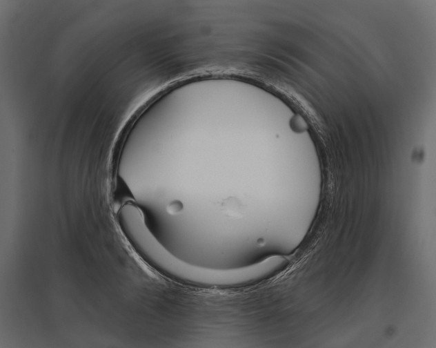 X0000096990894200803071051