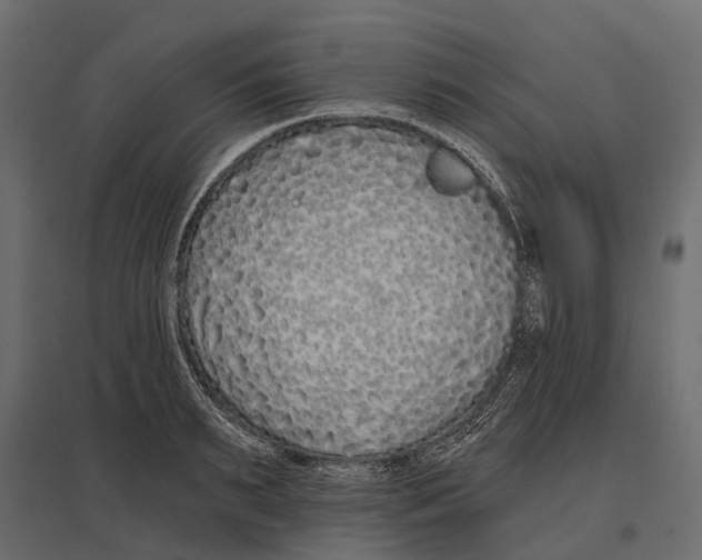 X0000096990895200803071051