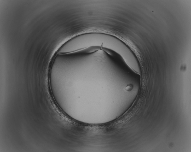 X0000096990896200803071051