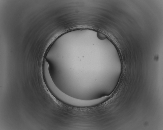 X0000096990898200803071051