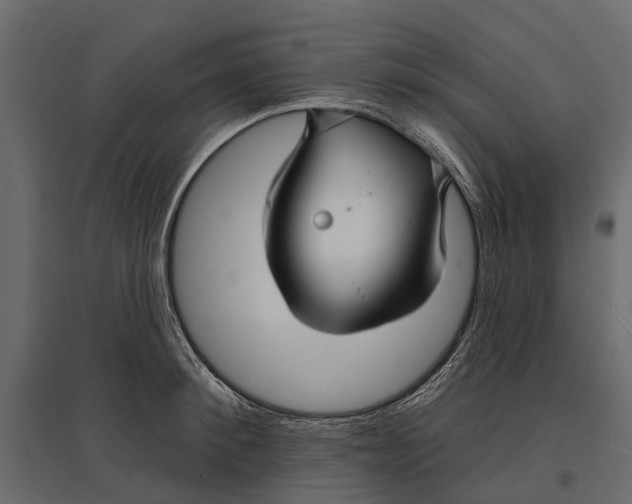 X0000096990900200803071051