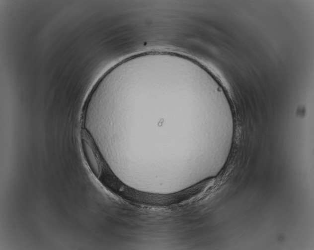 X0000096990903200803071051