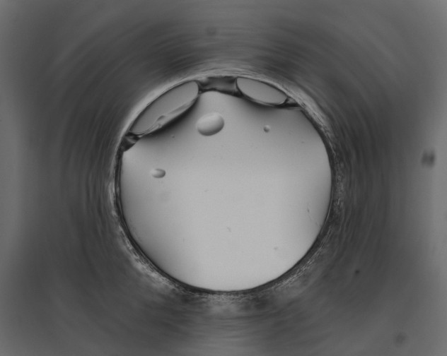 X0000096990904200803071051