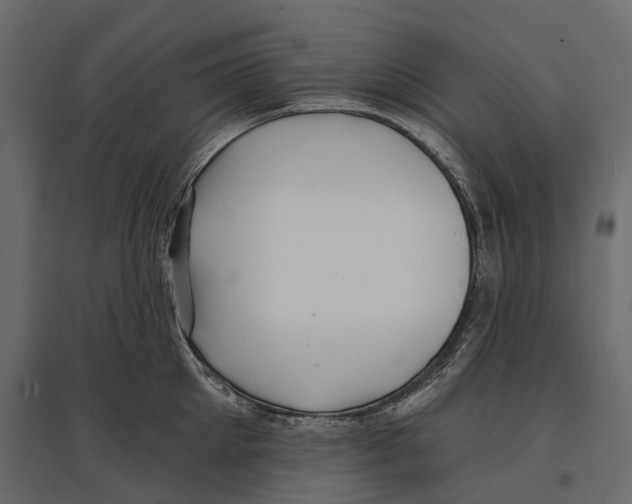 X0000096990905200803071051