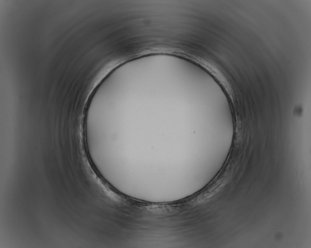 X0000096990906200803071051