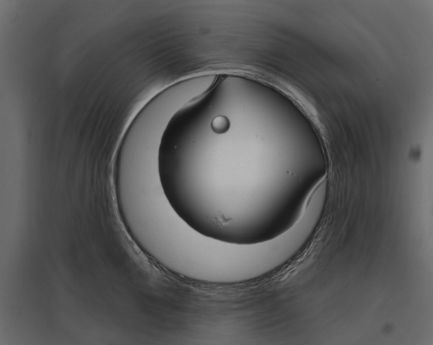 X0000096990907200803071050