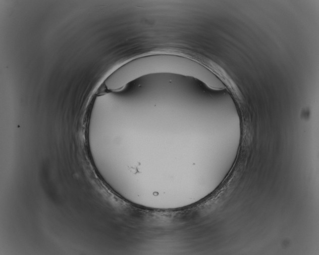 X0000096990908200803071050