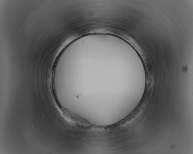 X0000096990909200803071050