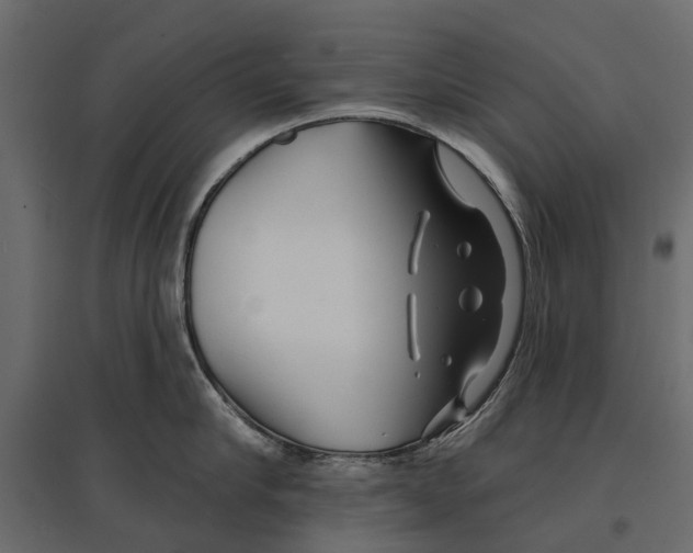 X0000096990910200803071050